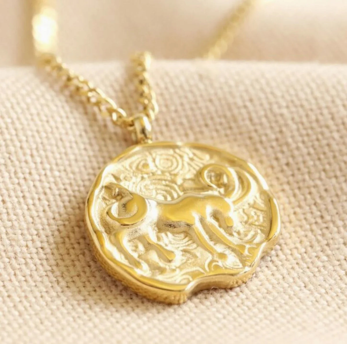 Blue Box Boutique Inc Gold Stainless Steel Capricorn Zodiac Pendant Necklace for Women, Teens | Horoscope, Birthday Gift