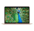Macbook Air 13.3-inch (Retina, Gold) 1.2GHZ Quad Core i7 (2020) Laptop 256GB HD & 8GB RAM-Mac OS (Refurbished)
