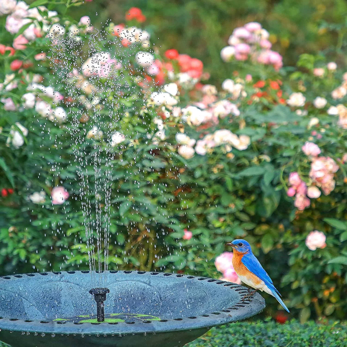 AISITIN 3W Solar Fountain Pump Solar aqua Pump, Floating Fountain Built-in 1200mAh Battery, with 6 Nozzles, for Bird Bath, Fish Tank, Pond or Garden Decoration Solar Aerator Pump (Green)