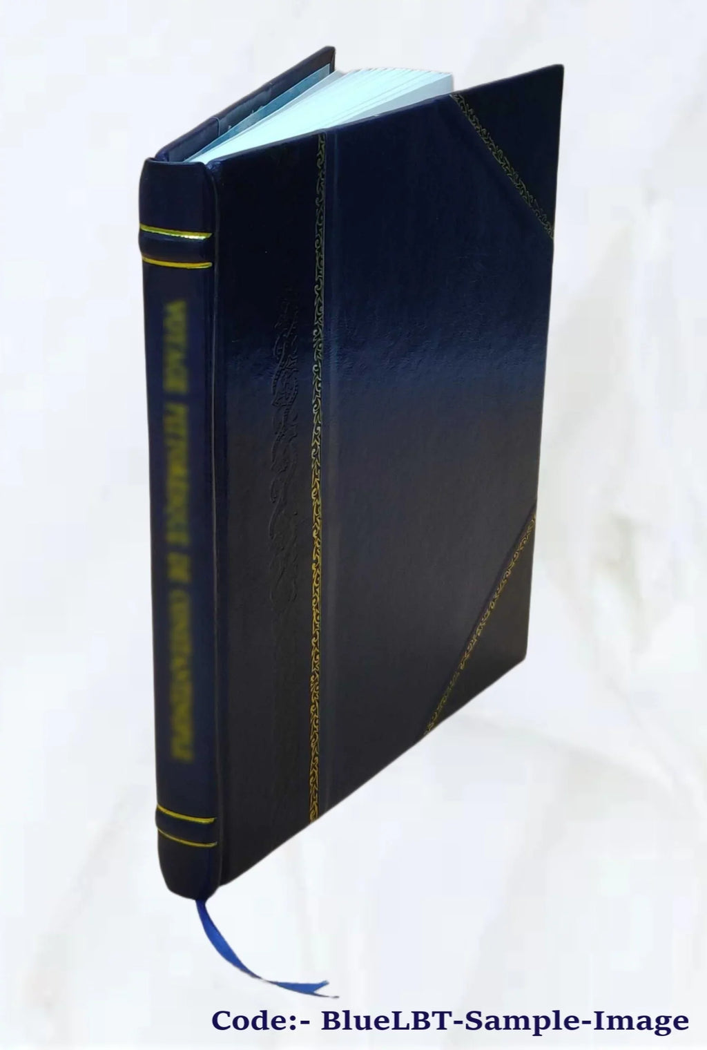 Addita etiam interpretatione Nominum, quae unica Litera, uel Syllaba in antiquis titulis scrip. Nvper ab ipso avctore nonnvllis erroribvs svblatis emendata. Vrbis Romae topographia