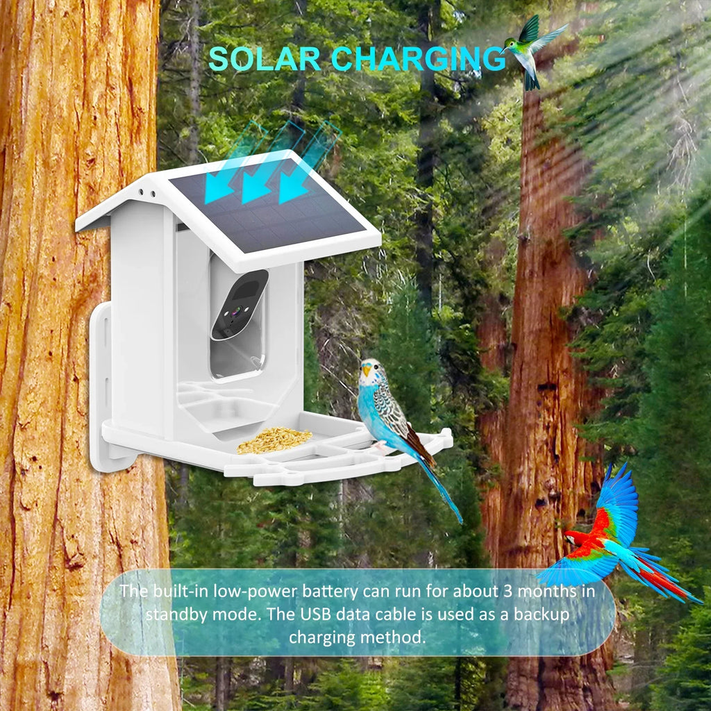 Aibecy Low Solar Bird Camera 1080P Night Vision Camera IP66 Waterproof for Birds and Wildlife