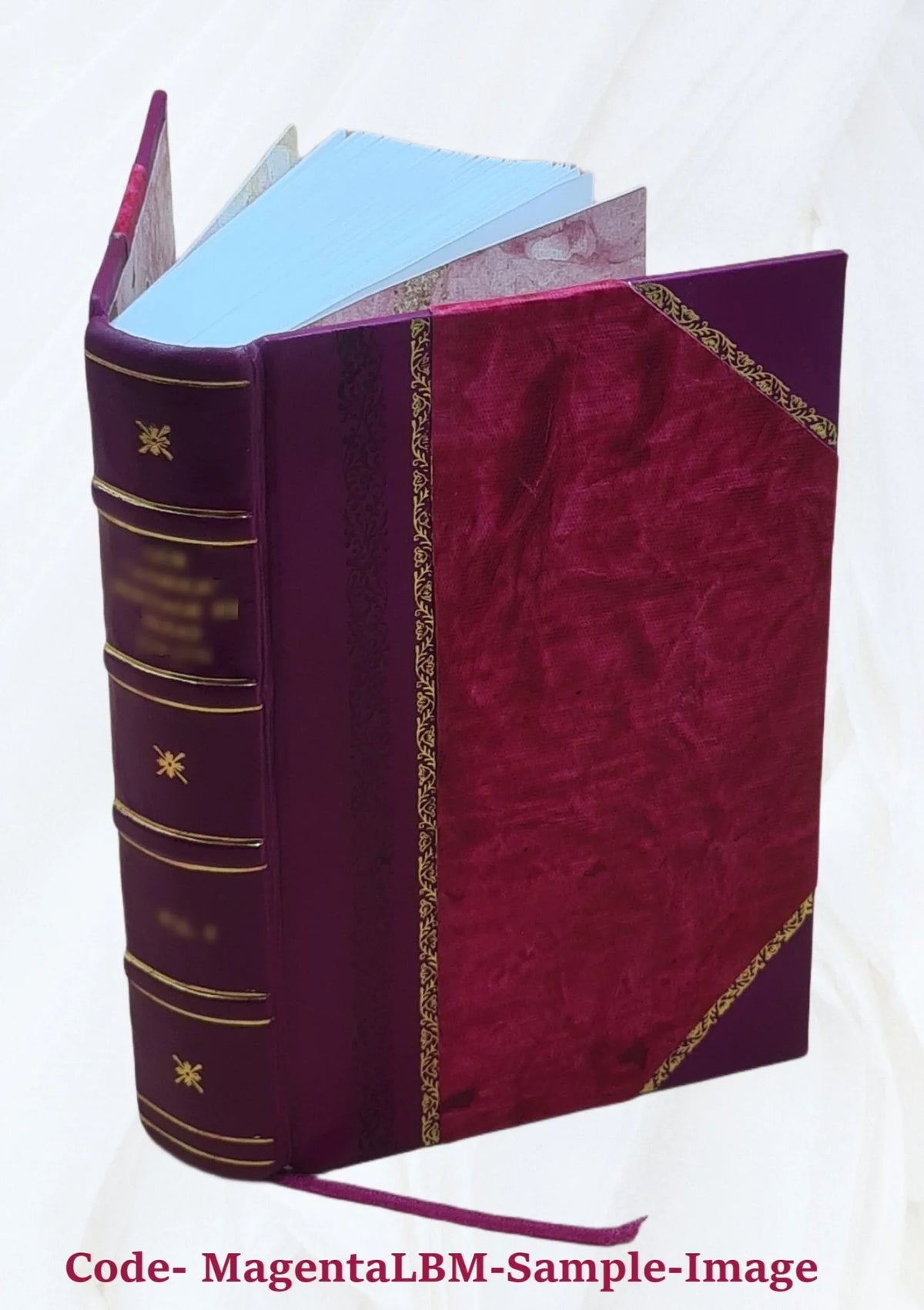 1839 [Leather Bound]. Daniel Dewar. Dr. and the Rev. Norman Macleod ... Dr. By the Rev. English and Gaelic ... Gaelic and English.--II. A dictionary of the Gaelic language, in two parts, I