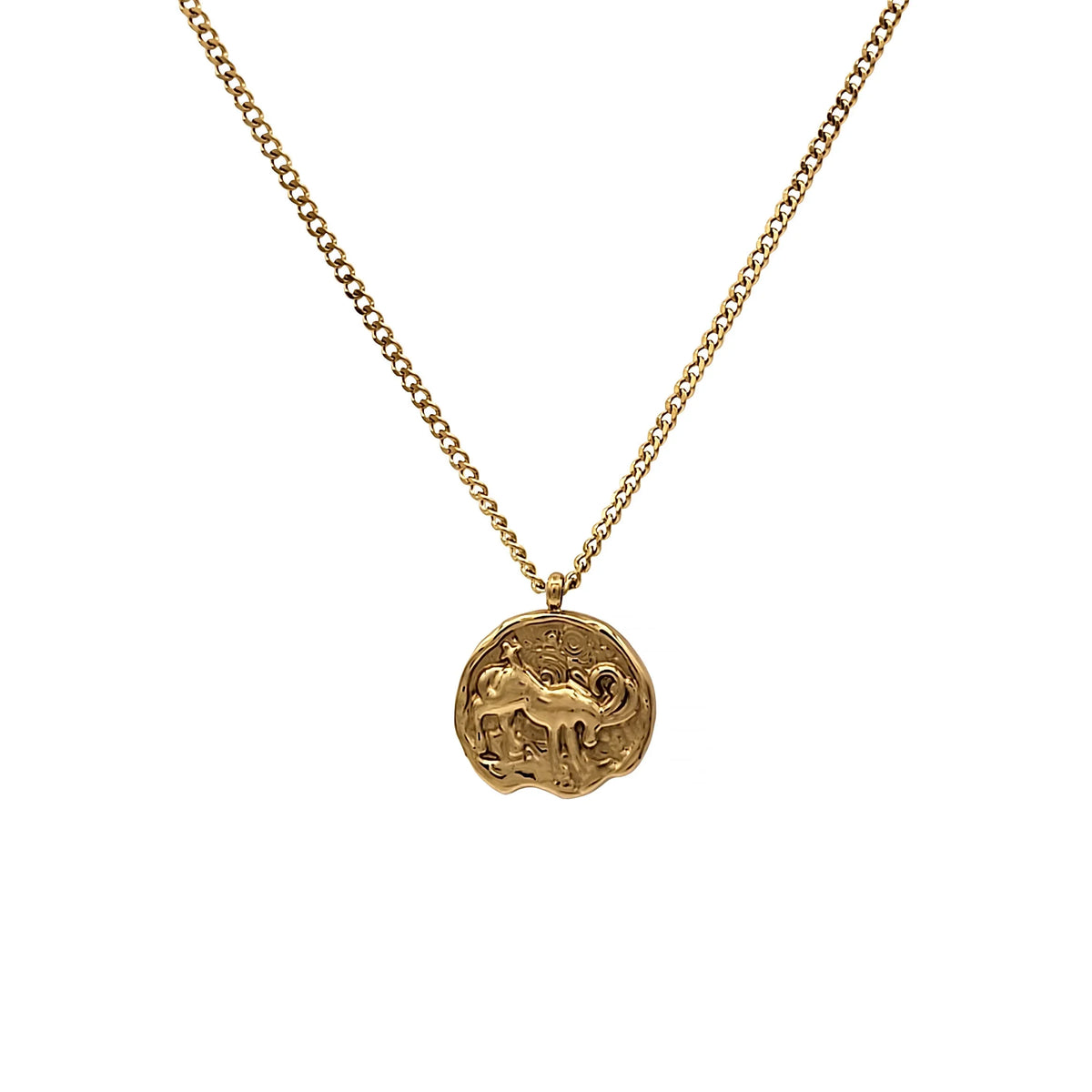 Blue Box Boutique Inc Gold Stainless Steel Capricorn Zodiac Pendant Necklace for Women, Teens | Horoscope, Birthday Gift