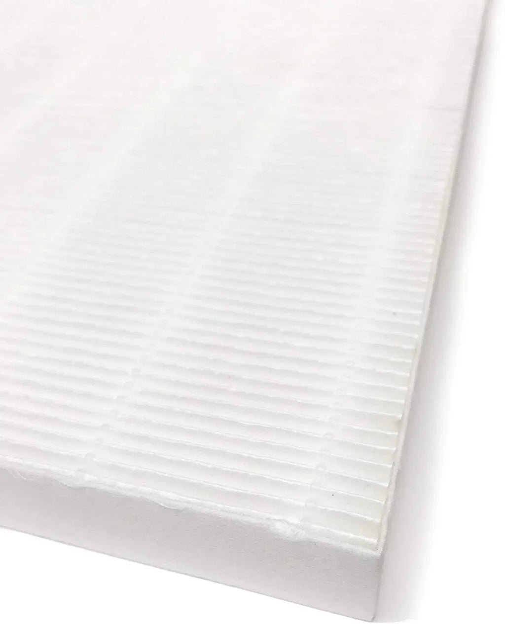 2 Packs. HEPA Air Filter suitable With Fellowes AeraMax 200 Purifier Model 190/200/DB55/DX55