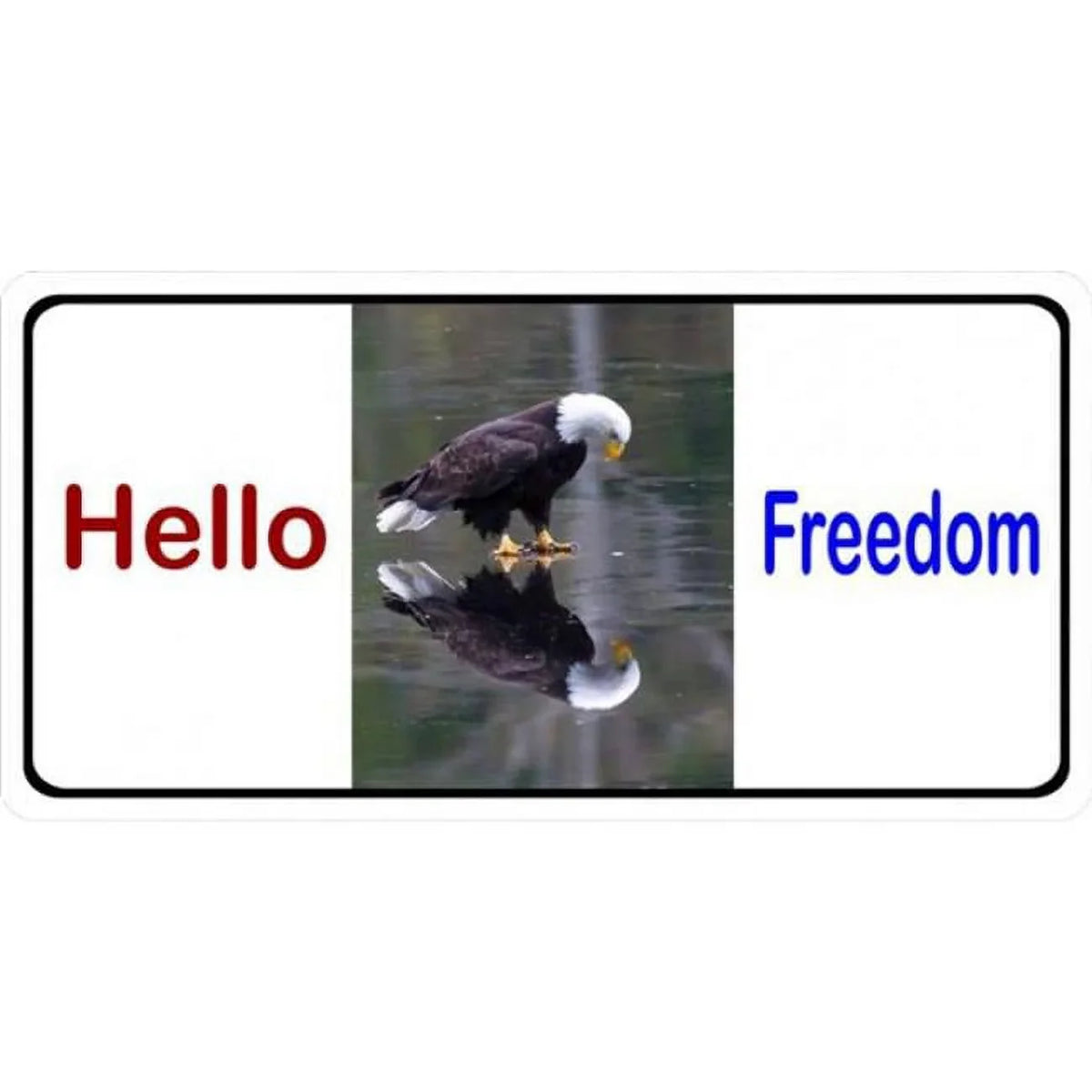 Hello Freedom with Eagle Photo License Plate. 212 Main LPO1920 6 x 12 in